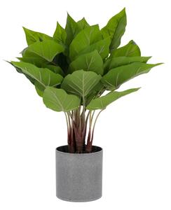 Sztuczny kwiat Toulitka Kave Home, wys. 50 cm