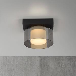 Paul Neuhaus Lampa sufitowa LED Rika, możliwość ściemniania, czarny, salon / jadalnia, szkło, nowoczesny