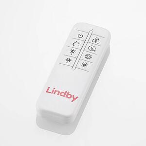 Lindby - Zayd LED Lampa Sufitowa Dim. Black Lindby
