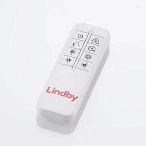 Lindby - Zayd LED Lampa Sufitowa Dim. Nickel