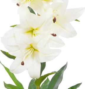 Sztuczna lilia z doniczką, biały, 65 cm