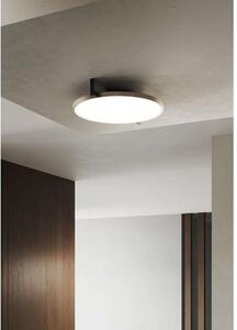 Light-Point - Inlay Round C2 Lampa Sufitowa Matt Black/Silver Gold