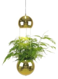 Globen Lighting - Mini Planter Lampa Wisząca Brass Globen Lighting