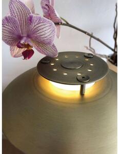 Halo Design - 1123 Lampa Stołowa Antique Brass