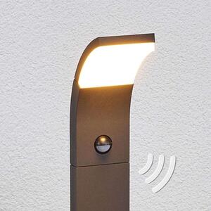 Lucande - Timm LED Lampa Ogrodowa H100 w/Sensor Graphite Lucande