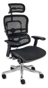 Ergonomiczny Fotel biurowy Ergohuman Plus Elite BS KMD31