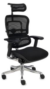 Ergonomiczny fotel biurowy Ergohuman Plus Elite BT KMD31 z zagłówkiem