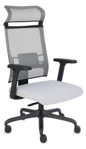 Fotel biurowy Ergofix - ergonomiczny, młodzieżowy, z zagłówkiem, siatkowy, wygodny dla kręgosłupa