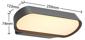 Lucande - Badriya LED Ogrodowe Lampa Ścienna W25 Anthracite Lucande