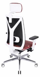 Ergonomiczny Fotel biurowy Valio WS HD