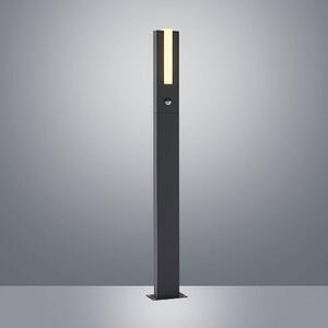 Lucande - Virgalia LED Lampa Ogrodowa H100 w/Sensor Graphite