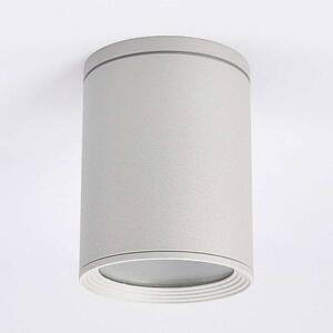 Lucande - Minna Ogrodowe Reflektor Sufitowy Silver