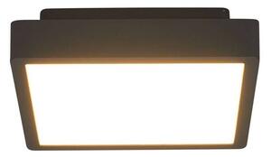 Lucande - Talea LED Ogrodowe Lampa Sufitowa Graphite Lucande