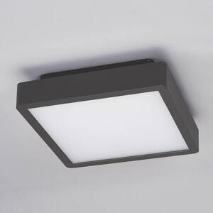 Lucande - Talea LED Ogrodowe Lampa Sufitowa Graphite