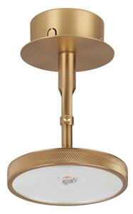 UMAGE - Asteria Spot Lampa Sufitowa Plated Brass Umage