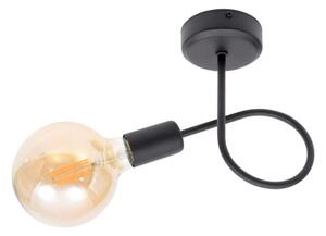 Lampa sufitowa Edison 1 Gobi LOFT 2118 + żarówka Led Globe
