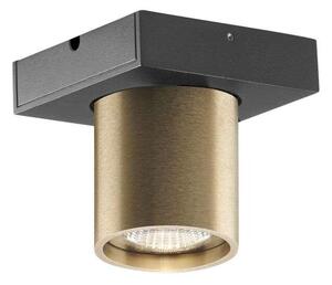 LIGHT-POINT - Focus Mini 1 LED Lampa Sufitowa 3000K Brass Light-Point