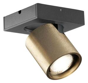 LIGHT-POINT - Focus Mini 1 LED Lampa Sufitowa 3000K Brass Light-Point