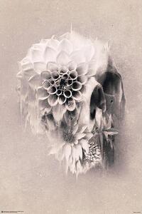 Plakat, Obraz Ali G lec - Decay Skull, (61 x 91.5 cm)