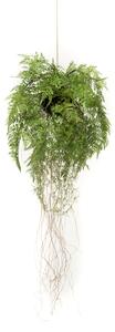 Emerald Sztuczna wisząca paproć z korzeniami, 35 cm