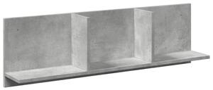 Półka ścienna, 100x16,5x30 cm, szarość betonu