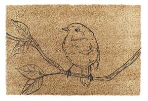 Wycieraczka z włókna kokosowego 40x60 cm Pencil Robin – Artsy Doormats