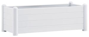 Podwyższona donica, PP, biała, 100x43x35 cm