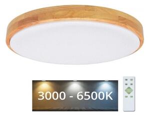 Ecolite Ecolite WLD400-24W/LED/SD - LED Plafon ściemnialny LENA LED/24W/230V EC0142