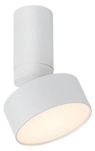 Rabalux Rabalux 71326 - LED Plafon OVIDIA LED/10W/230V 3000K biały RL71326