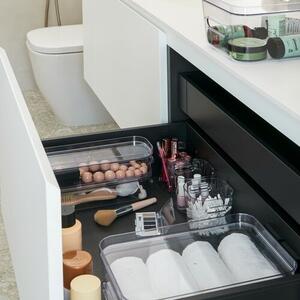 SmartStore Pojemnik do przechowywania CompactClear L, 15,4 l, L