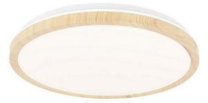 Candellux LED Oświetlenie sufitowe GANDAVA LED/24W/230V CA0454