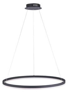 Paul Neuhaus Paul Neuhaus 2383-13 - LED Ściemniany żyrandol na lince TITUS LED/50W/230V W1761