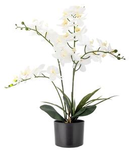 Sztuczny kwiat (wysokość 84 cm) Orchid – Bloomingville