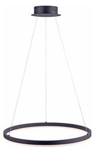 Paul Neuhaus Paul Neuhaus 2382-13 - LED Ściemniany żyrandol na lince TITUS LED/38,5W/230V W2385