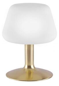 Paul Neuhaus Paul Neuhaus 4078-60 - LED Ściemniana lampa stołowa TILL 1xG9/3W/230V mosiądz W2379