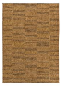 Brązowy dywan odpowiedni na zewnątrz 120x170 cm Guinea Natural – Universal
