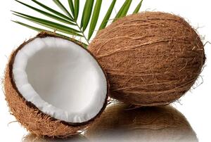 Materac kokosowy COCO MAXI 19 cm 140 x 200 cm Ochrona materaca: BEZ ochraniacz na materac