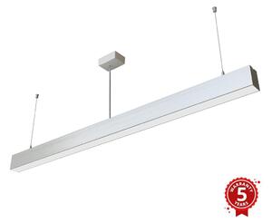 APLED APLED - LED Żyrandol na lince LOOK LED/46W/230V 4000K 120 cm srebrny AP0122