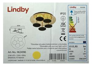 Lindby Lindby - LED Ściemnialny plafon CASNI 5xLED/5W/230V LW0530