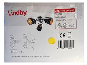 Lindby Lindby - Żyrandol natynkowy SINDRI 3xE14/25W/230V LW1269