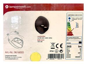 Lampenwelt Lampenwelt - LED Kinkiet zewnętrzny 2xLED/3W/230V IP54 LW1442