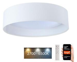 BPS Koncept LED Ściemnialna lampa SMART GALAXY LED/24W/230V śr. 45 cm Wi-Fi Tuya + pilot BS0599