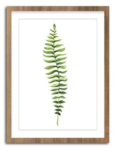 Obraz 30x40 cm Greenery – Styler