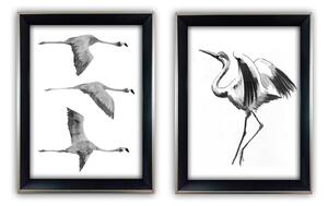 Obrazy zestaw 2 szt. 35x45 cm Crane – Wallity
