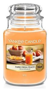 Yankee Candle Yankee Candle - Świeca zapachowa FARM FRESH PEACH duża 623g 110-150 godziny YC0013
