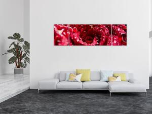 Obraz czerwonego kwiatu róży (170x50 cm)