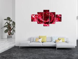 Obraz czerwonego kwiatu róży (125x70 cm)