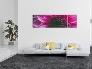 Obraz różowego kwiatu róży (170x50 cm)