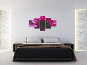 Obraz różowego kwiatu róży (125x70 cm)