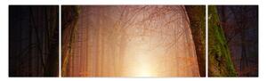 Obraz jesiennego lasu we mgle (170x50 cm)